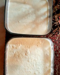 دوباره ماست چرب درست کردم