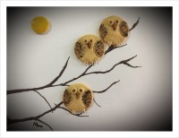 شیرینی جغدی