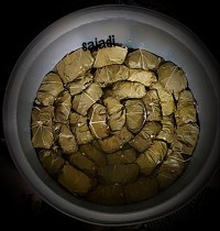 دلمه برگ مو (قبل از پخت)