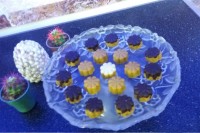 برشتوک نخود چی