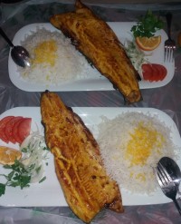 ماهی قزل الا