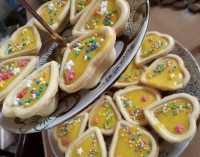 کرم کاسترد خونگی