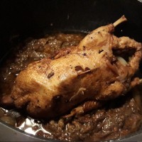 اردک شکم پر