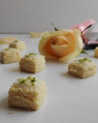اسلایس نارگیل