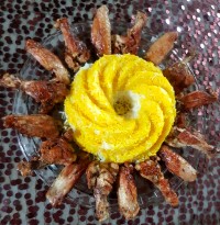 تقدیم به دوستان