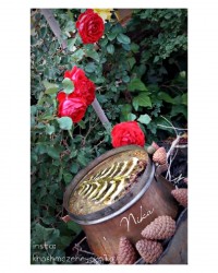 آش رشته توی باغ