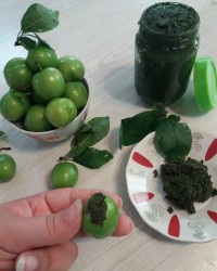 دلار یا درار