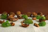 مارهای با نمک برای کودکان