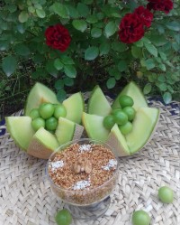 دوشاب برنج گیلان