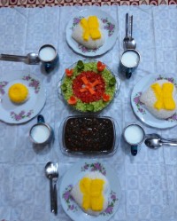 قرمه سبزی خوشمزه