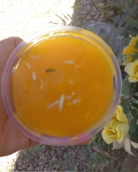 کستر جانتون خالی