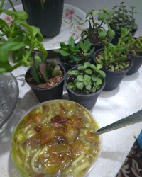 اش رشته