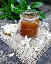 مربا بهارنارنج