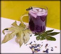 شربت گل پنیرک