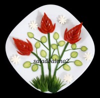 تزیین گوجه خیار وپنیر