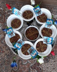 آش دندونی پسرم