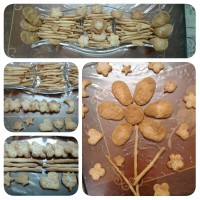 چوب شور خانگی