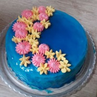 کیک تولد باروکش بریلو