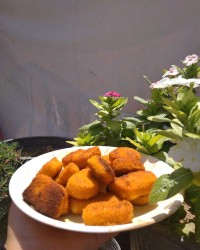 ناگـــــــــت مــــــرغ