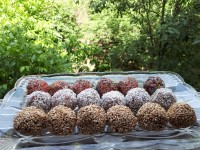 توپکهای های خرما