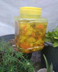 ترشی مخلوط