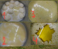 طرزتهیه روغن گاو وگوسفند