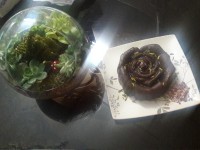 حلوا قالبی شیره انگور