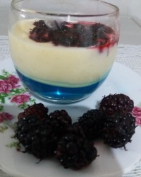 دسر شاه توت