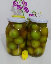 ترشی آلوچه