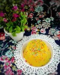 کاسترد قالبی