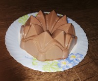 کرم دنت