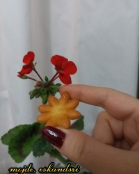 خاگینه گل مینا