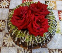 کیک تولد خواهرم