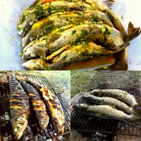 ماهی کبابی شکم پر (مخصوص طبیعت گردی)