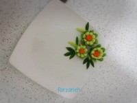 دورچین خیار (۱)