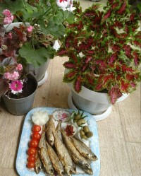 ماهی کولی سرخ شده برای دختر گلم درست کردم