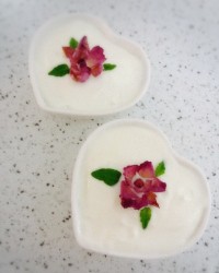 دیزاین ماست