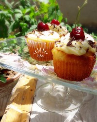 کاپ کیک ساده با رویه کرمفیل وانیلی