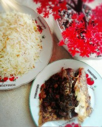 ماهی شکم پر جنوبی