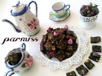 نبات کاکائویی