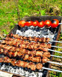 کباب گوشت دردله طبیعت