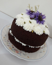 کیک شکلاتی عریان