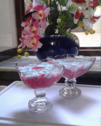 ژله بستنی خیلی خوشمزه شده بود