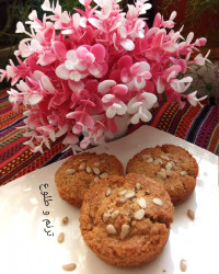 تجگی (سمنو سیستانی)