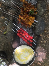 جوجه در دل طبیعت