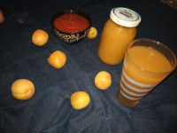 مارمالاد زردآلو