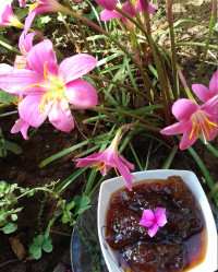 مربای انجیر خودم پز