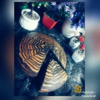 کیک زبرای من