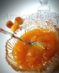 مارمالاد زردآلو