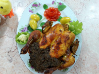 مرغ شکم پرگیلانی